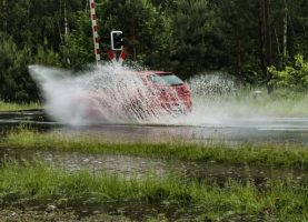 article (8)